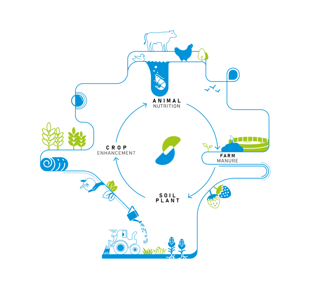 schema_EN